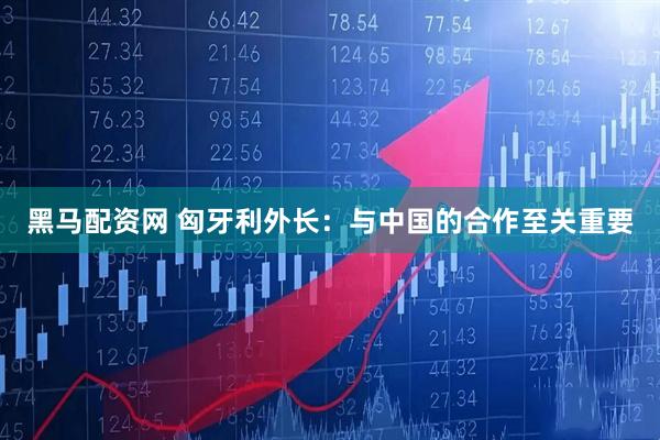 黑马配资网 匈牙利外长：与中国的合作至关重要
